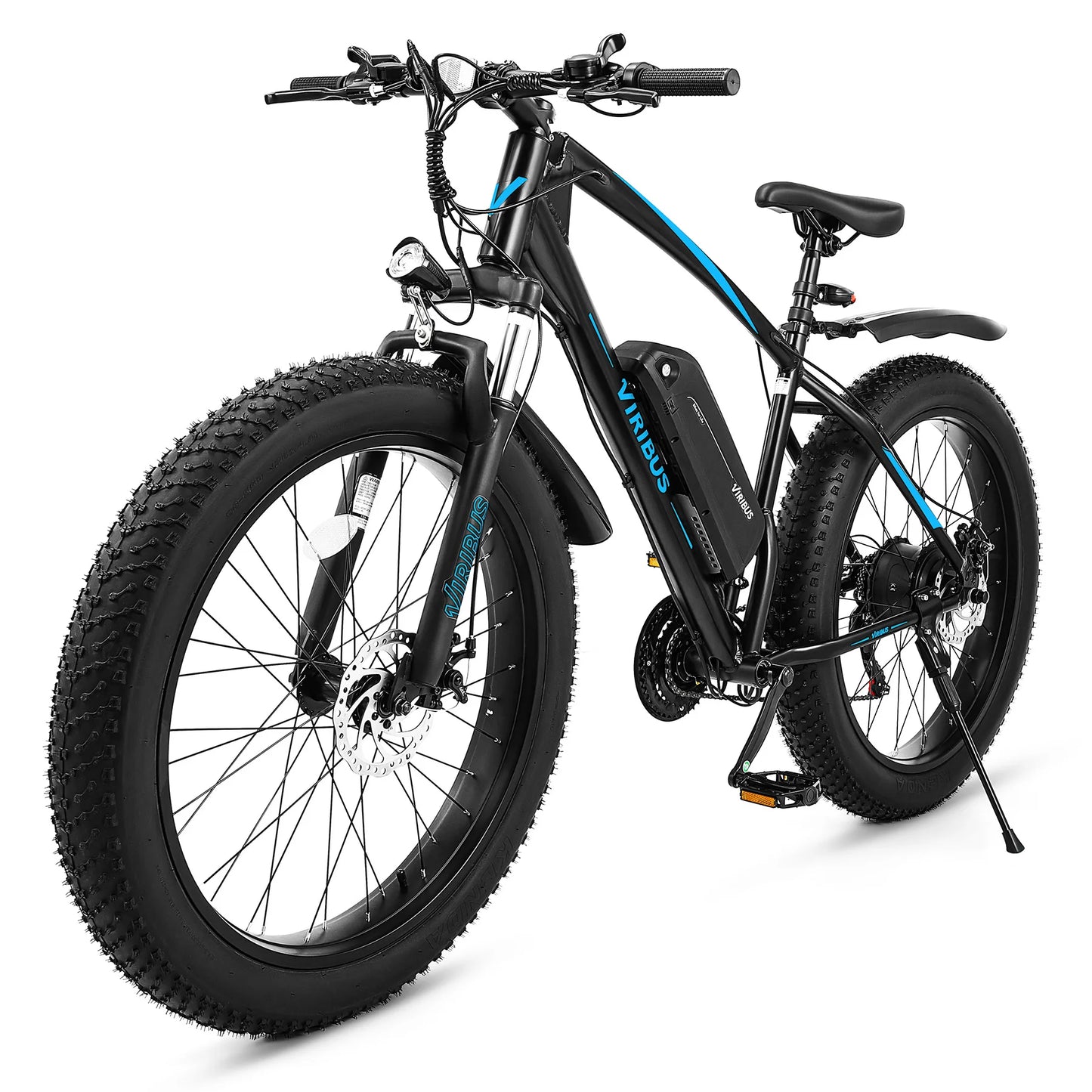 500W Fat Tire eBike 48V Electric Bike