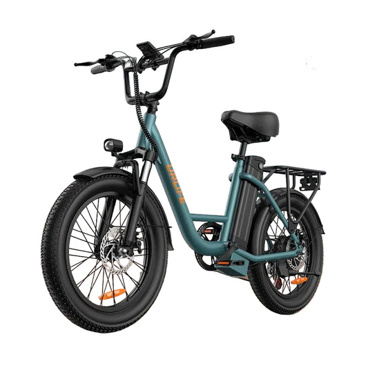 1000W E20 Electric Bike