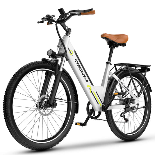 1000 Peak Electric Bike