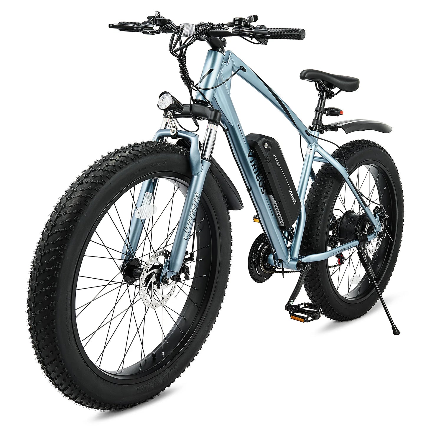 500W Fat Tire eBike 48V Electric Bike