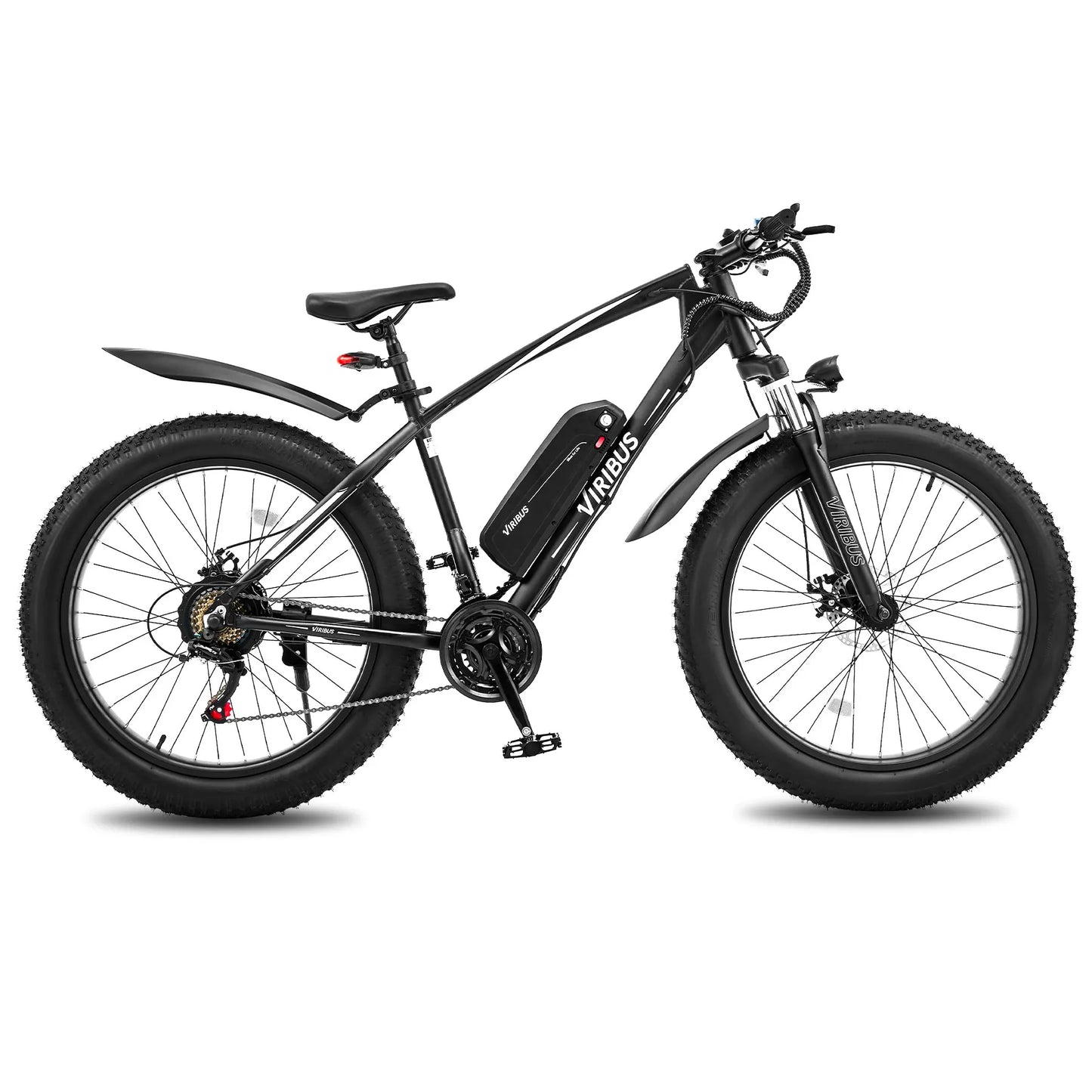 500W Fat Tire eBike 48V Electric Bike