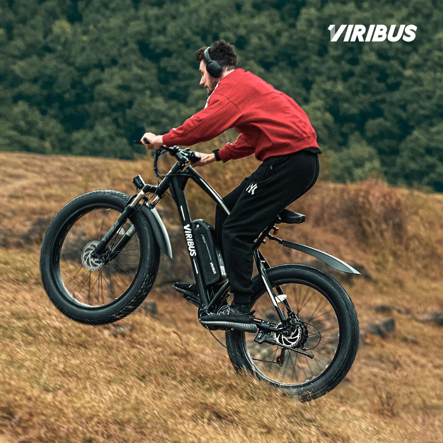 500W Fat Tire eBike 48V Electric Bike