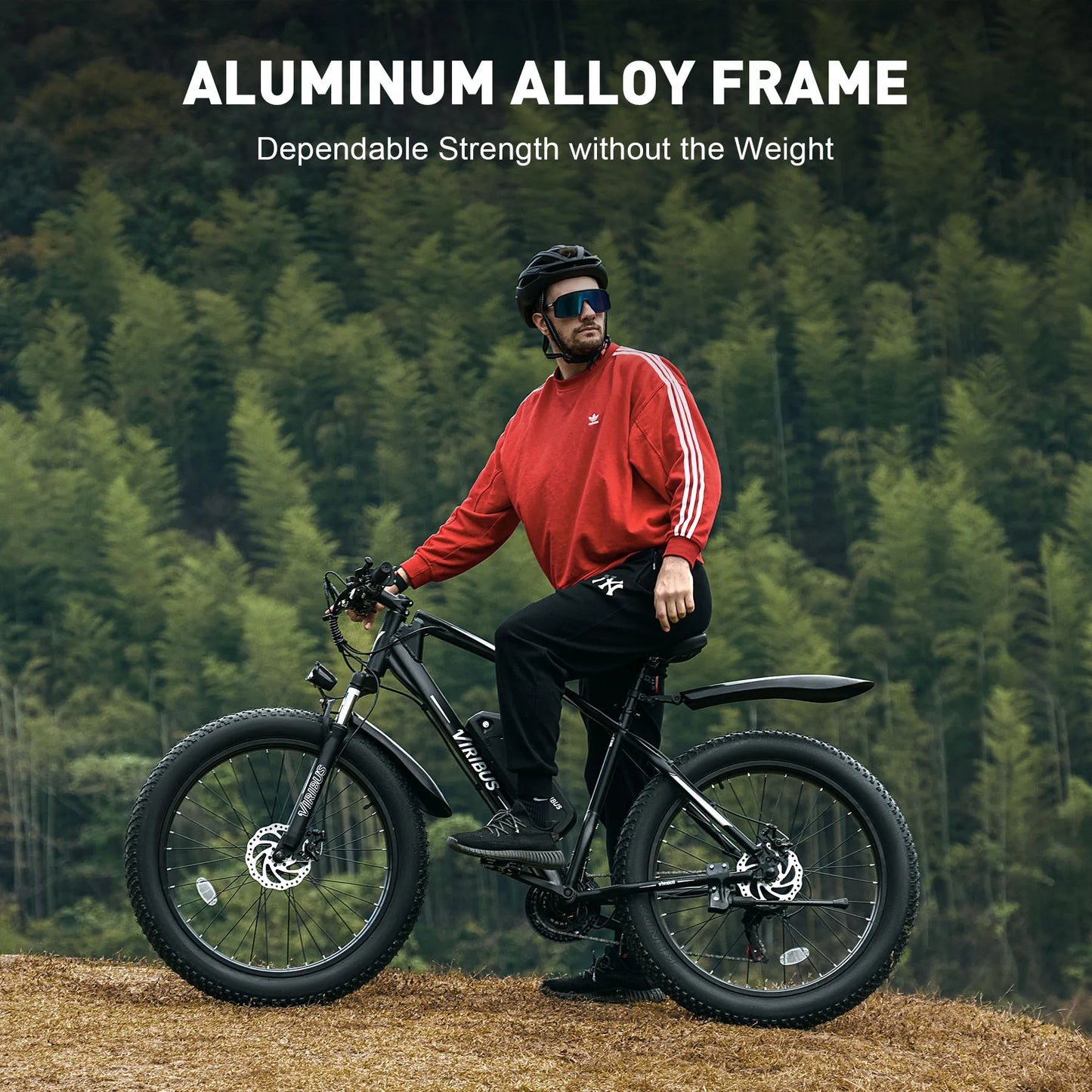 500W Fat Tire eBike 48V Electric Bike