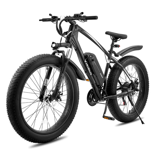 500W Fat Tire eBike 48V Electric Bike