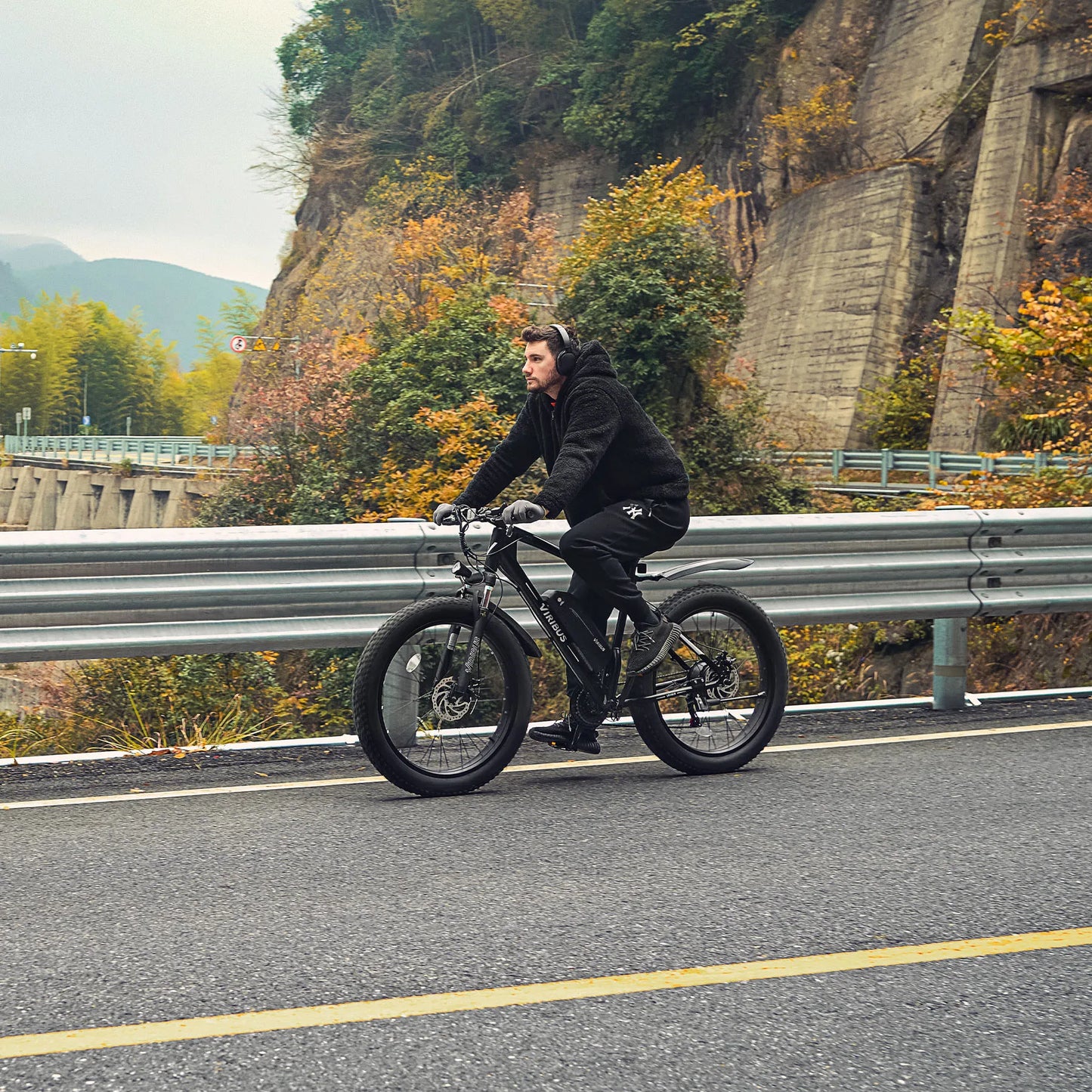500W Fat Tire eBike 48V Electric Bike