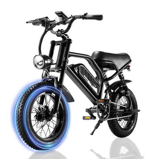 VDL Mountain Electric Bike