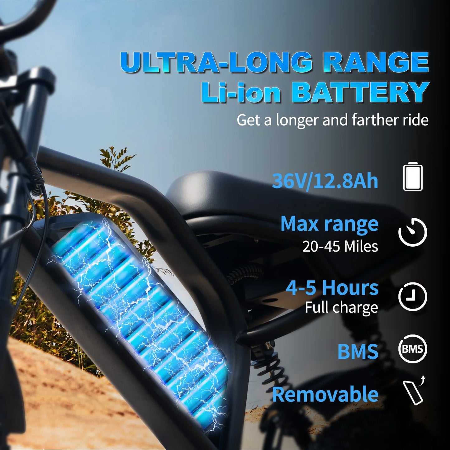 VDL Mountain Electric Bike