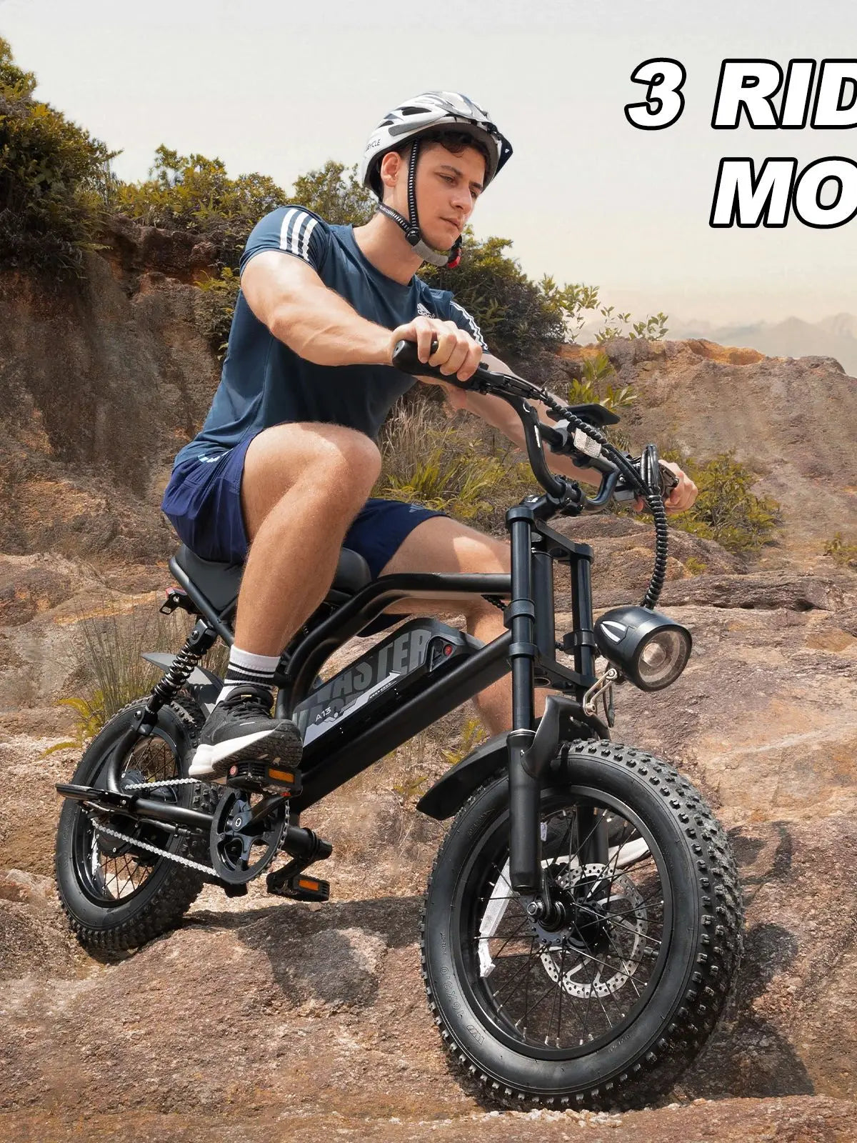 VDL Mountain Electric Bike