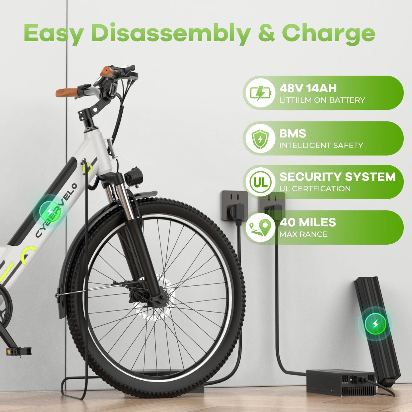 1000 Peak Electric Bike